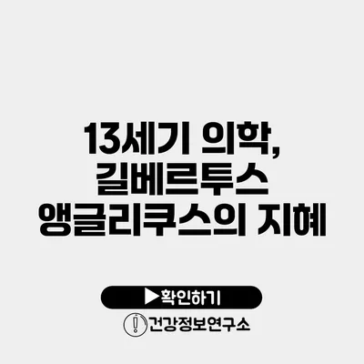 13세기 의학, 길베르투스 앵글리쿠스의 지혜