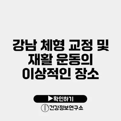 강남 체형 교정 및 재활 운동의 이상적인 장소