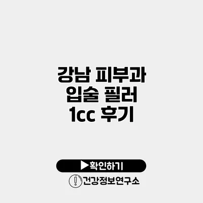 강남 피부과 입술 필러 1cc 후기