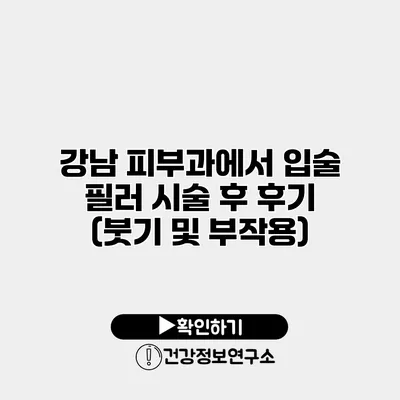 강남 피부과에서 입술 필러 시술 후 후기 (붓기 및 부작용)