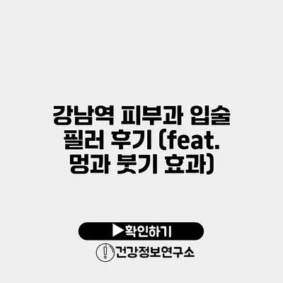 강남역 피부과 입술 필러 후기 (feat. 멍과 붓기 효과)