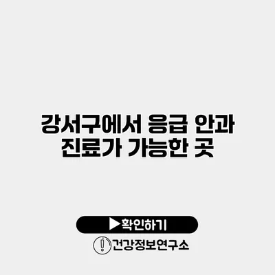 강서구에서 응급 안과 진료가 가능한 곳
