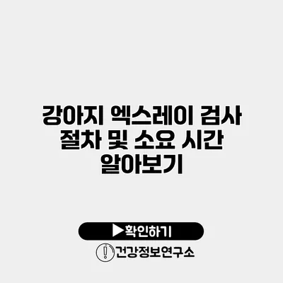 강아지 엑스레이 검사 절차 및 소요 시간 알아보기