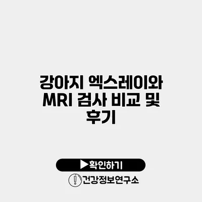 강아지 엑스레이와 MRI 검사 비교 및 후기