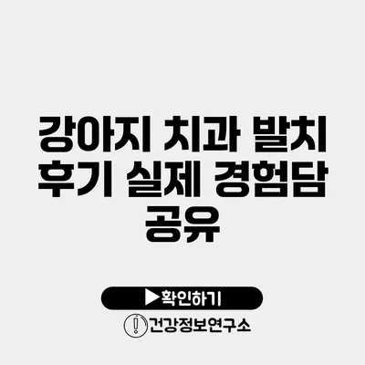 강아지 치과 발치 후기 실제 경험담 공유