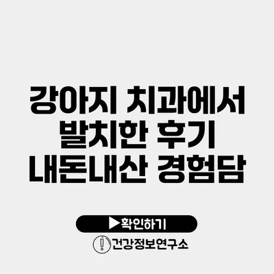 강아지 치과에서 발치한 후기 내돈내산 경험담