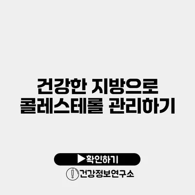 건강한 지방으로 콜레스테롤 관리하기