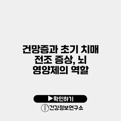 건망증과 초기 치매 전조 증상, 뇌 영양제의 역할