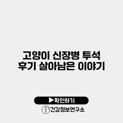 고양이 신장병 투석 후기 살아남은 이야기