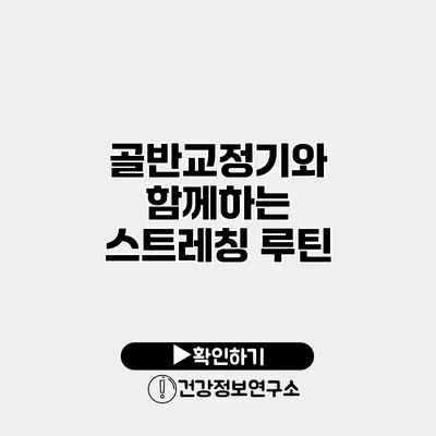 골반교정기와 함께하는 스트레칭 루틴
