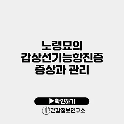 노령묘의 갑상선기능항진증 증상과 관리