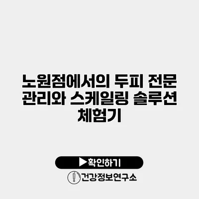 노원점에서의 두피 전문 관리와 스케일링 솔루션 체험기