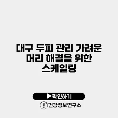 대구 두피 관리 가려운 머리 해결을 위한 스케일링