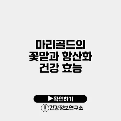 마리골드의 꽃말과 항산화 건강 효능
