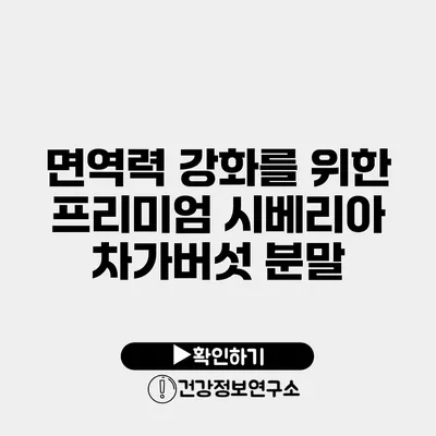 면역력 강화를 위한 프리미엄 시베리아 차가버섯 분말