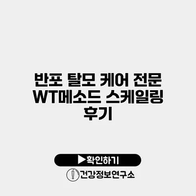 반포 탈모 케어 전문 WT메소드 스케일링 후기