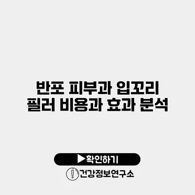 반포 피부과 입꼬리 필러 비용과 효과 분석