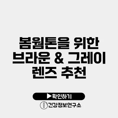 봄웜톤을 위한 브라운 & 그레이 렌즈 추천