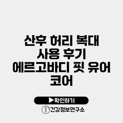 산후 허리 복대 사용 후기 에르고바디 핏 유어 코어