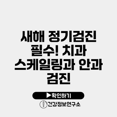 새해 정기검진 필수! 치과 스케일링과 안과 검진