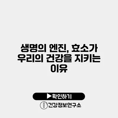 생명의 엔진, 효소가 우리의 건강을 지키는 이유