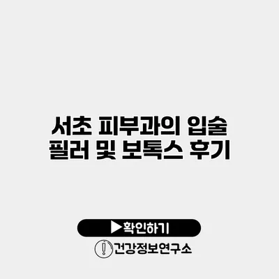 서초 피부과의 입술 필러 및 보톡스 후기