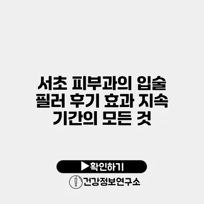 서초 피부과의 입술 필러 후기 효과 지속 기간의 모든 것