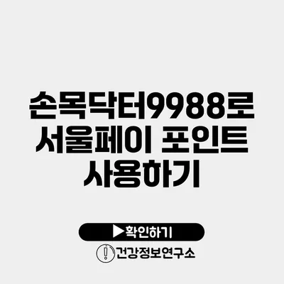 손목닥터9988로 서울페이 포인트 사용하기