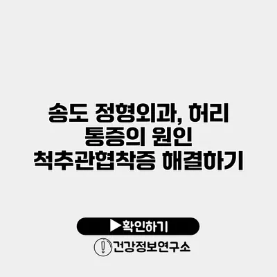 송도 정형외과, 허리 통증의 원인 척추관협착증 해결하기