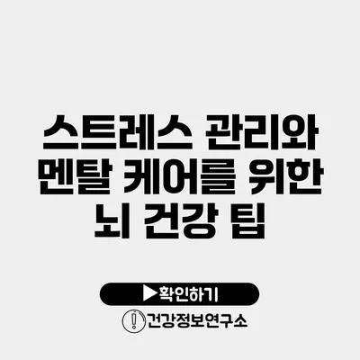 스트레스 관리와 멘탈 케어를 위한 뇌 건강 팁