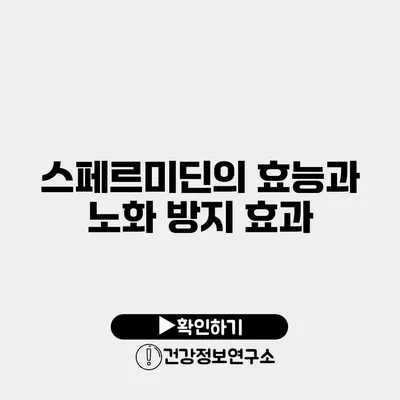 스페르미딘의 효능과 노화 방지 효과