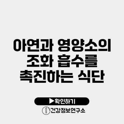아연과 영양소의 조화 흡수를 촉진하는 식단