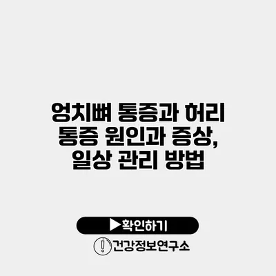 엉치뼈 통증과 허리 통증 원인과 증상, 일상 관리 방법