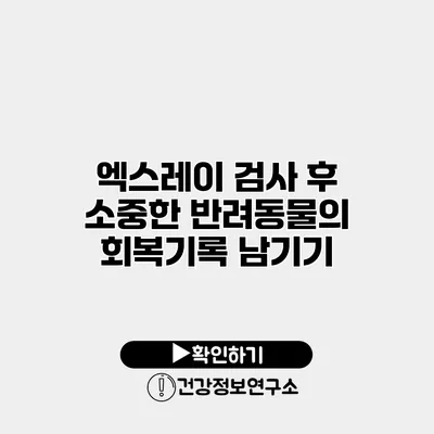 엑스레이 검사 후 소중한 반려동물의 회복기록 남기기