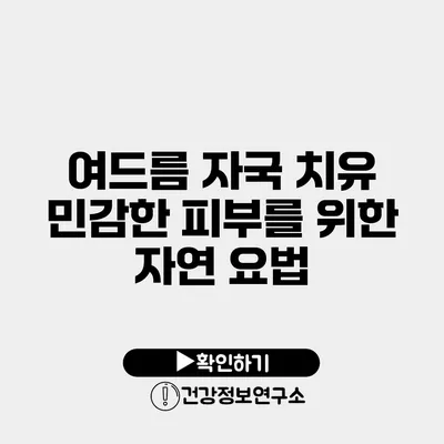 여드름 자국 치유 민감한 피부를 위한 자연 요법