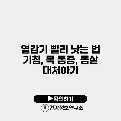 열감기 빨리 낫는 법 기침, 목 통증, 몸살 대처하기