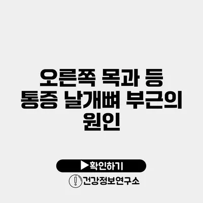 오른쪽 목과 등 통증 날개뼈 부근의 원인