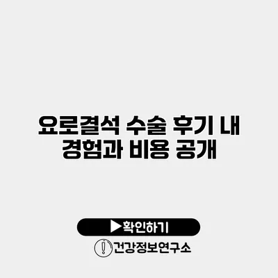 요로결석 수술 후기 내 경험과 비용 공개