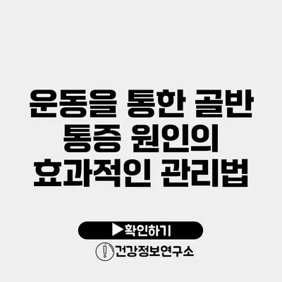 운동을 통한 골반 통증 원인의 효과적인 관리법