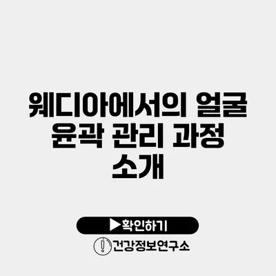 웨디아에서의 얼굴 윤곽 관리 과정 소개