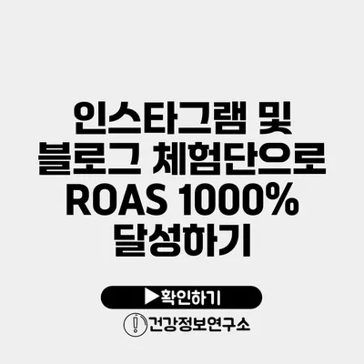 인스타그램 및 블로그 체험단으로 ROAS 1000% 달성하기