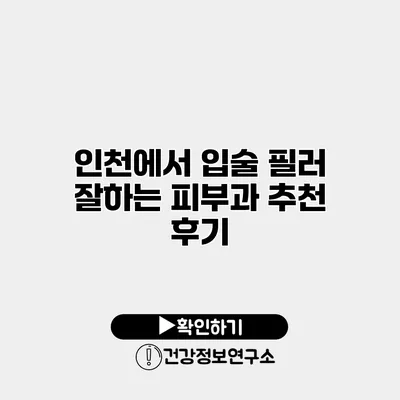 인천에서 입술 필러 잘하는 피부과 추천 후기