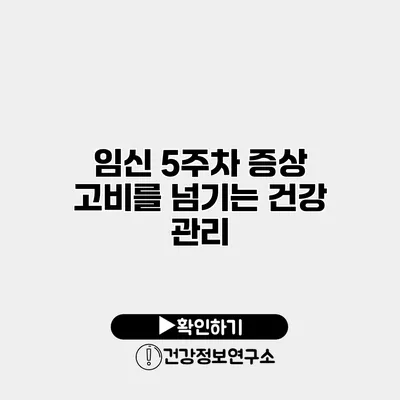 임신 5주차 증상 고비를 넘기는 건강 관리