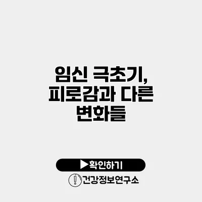임신 극초기, 피로감과 다른 변화들