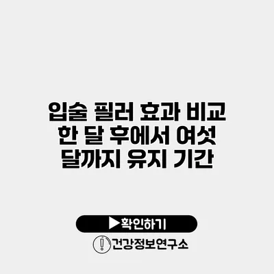 입술 필러 효과 비교 한 달 후에서 여섯 달까지 유지 기간