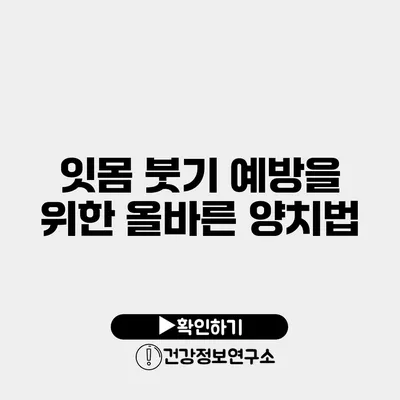 잇몸 붓기 예방을 위한 올바른 양치법