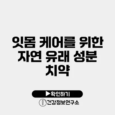 잇몸 케어를 위한 자연 유래 성분 치약