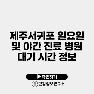 제주서귀포 일요일 및 야간 진료 병원 대기 시간 정보