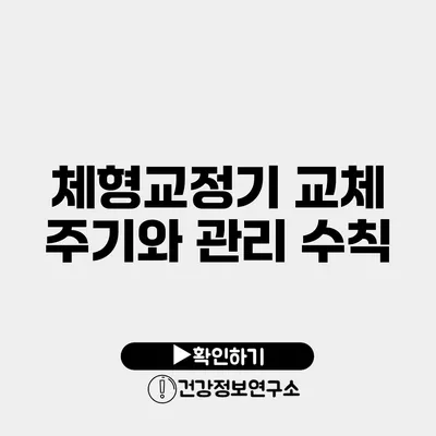 체형교정기 교체 주기와 관리 수칙