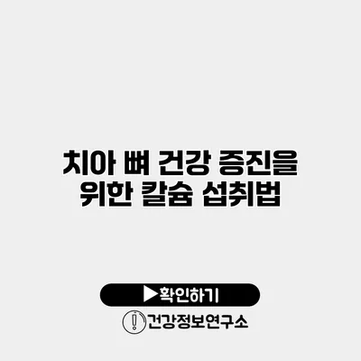 치아 뼈 건강 증진을 위한 칼슘 섭취법